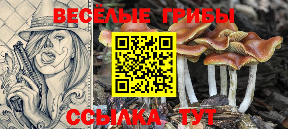 Псилоцибиновые грибы MAGIC MUSHROOMS Ликино-Дулёво